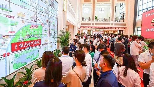 石家庄40中最新爆料,独家爆料直击校园新篇章